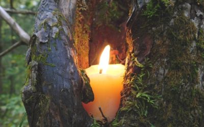 A letter to my son